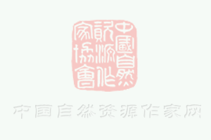 內(nèi)外兼修的不銹鋼鏈條