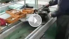 辰力手拉葫蘆車間，手拉葫蘆流水作業(yè)中
